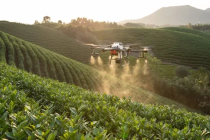 Biotecnologia e drones impulsionam produtividade de pequenos agricultores