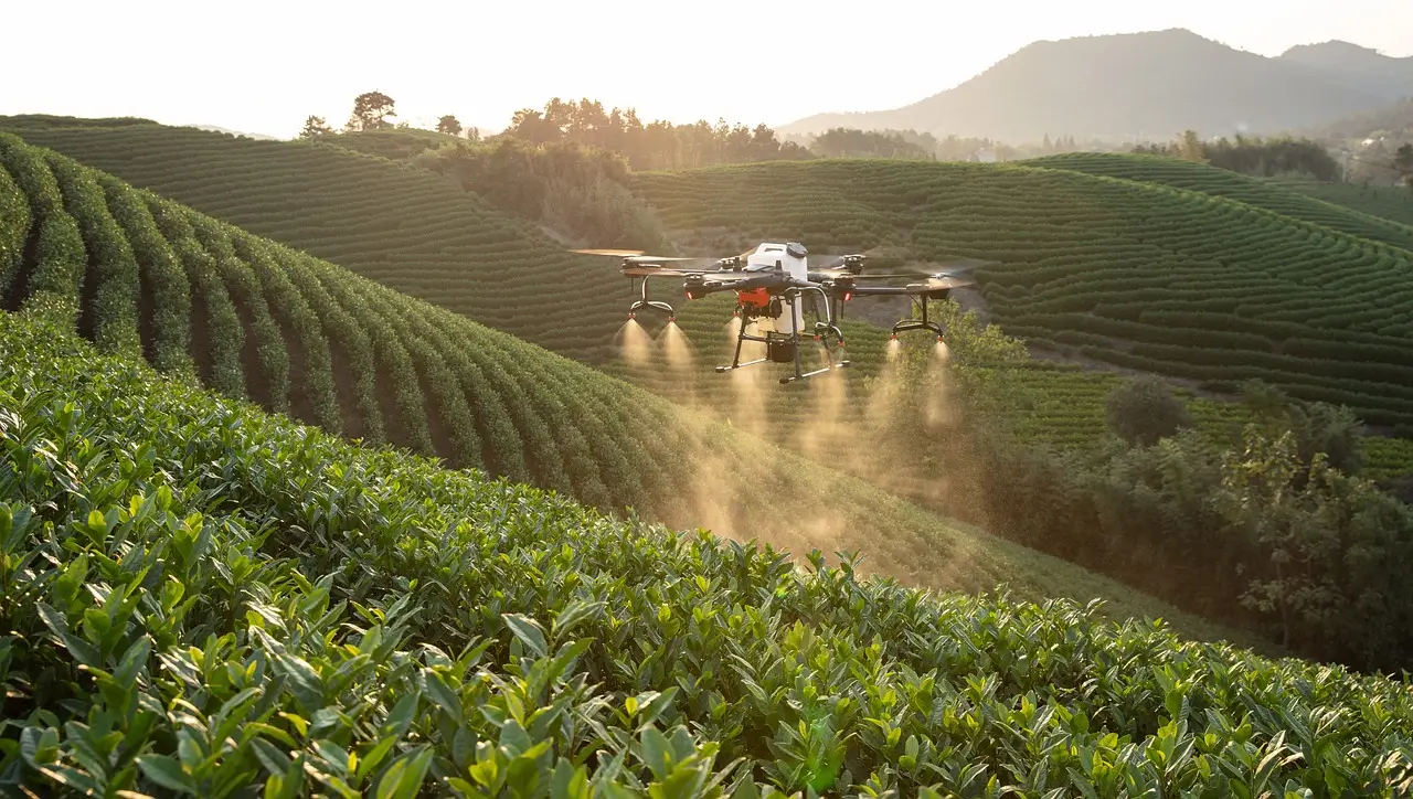 Biotecnologia e drones impulsionam produtividade de pequenos agricultores